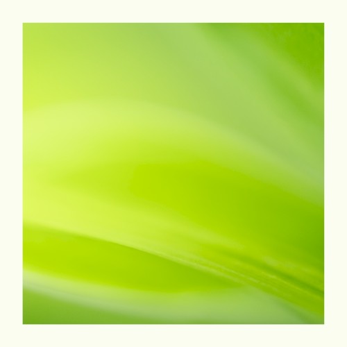 Best Green Noise For Sleep Or Focus (Loopable)