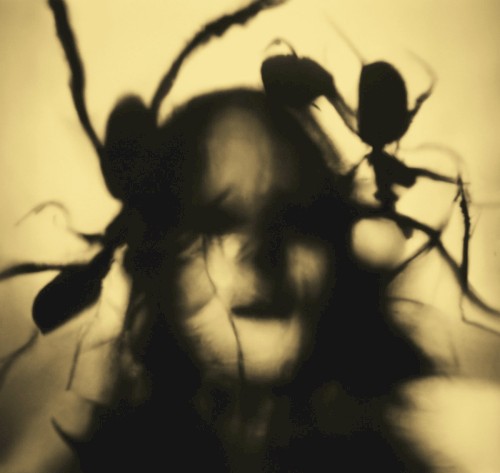 KOTO PARASITE