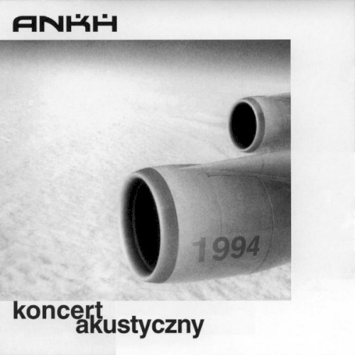 Koncert akustyczny