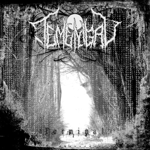 Terminal