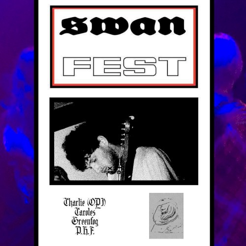 Swan Fest