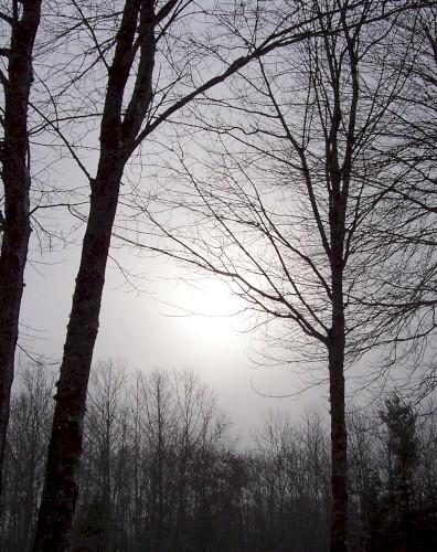 November