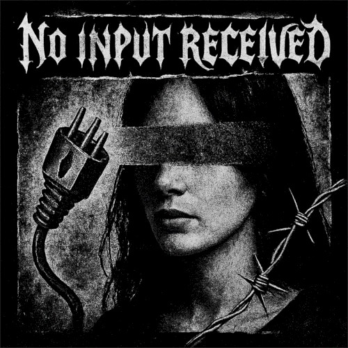 No Input Received