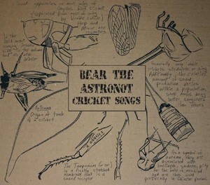 Cricket Songs