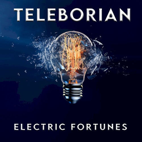 Electric Fortunes