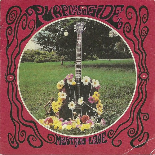 The Purple Outside (Mystery Lane)