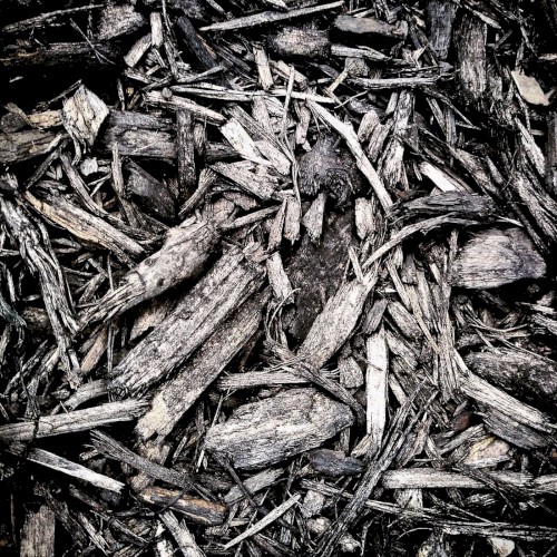 Breathing Black Earth
