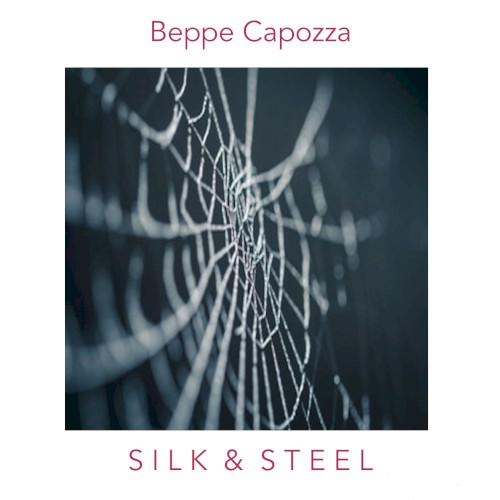 Silk & Steel