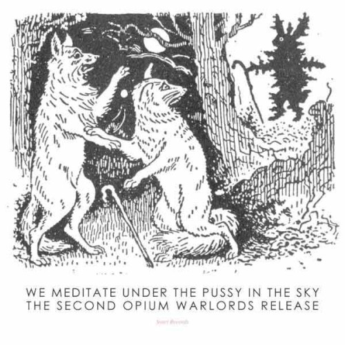 We Meditate Under the Pussy in the Sky