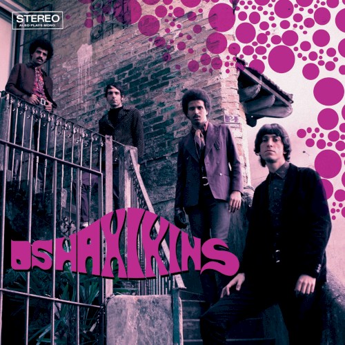 Os Haxixins