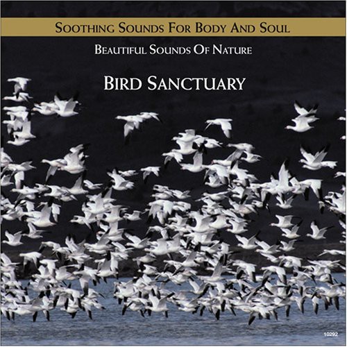 Bird Sanctuary