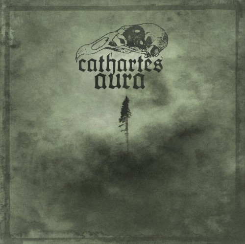 Cathartes Aura