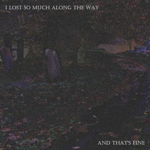 I Lost So Much Along The Way, And That's Fine