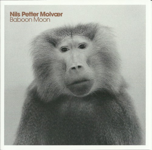 Baboon Moon