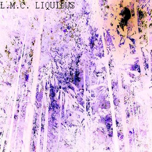 LIQUIDUS III