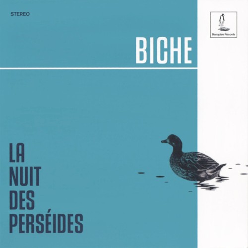 La nuit des perséides