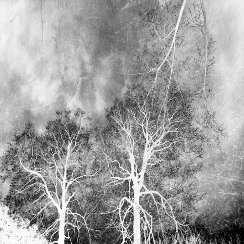 Winter Hymns