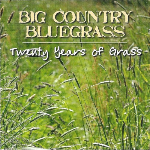 Twenty Years of Grass