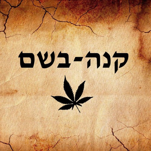 Kaneh Bosm