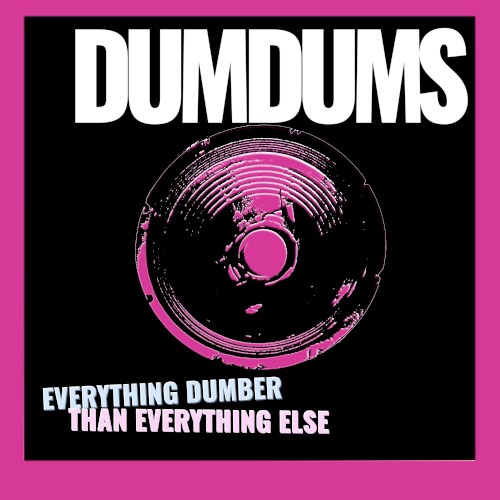Everything Dumber Than Everything Else