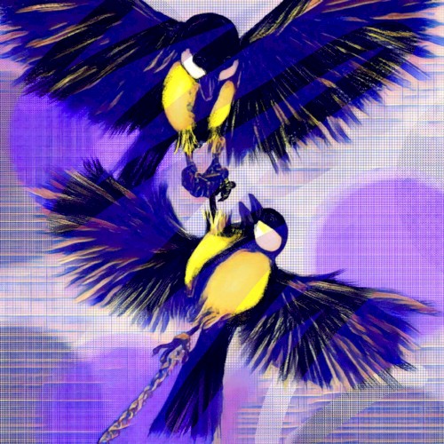 Of A Feather