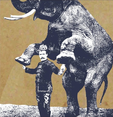 We are Elephant