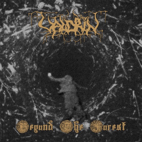 Beyond the Forest