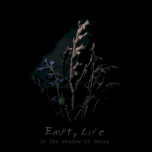 In the Shadow of Decay