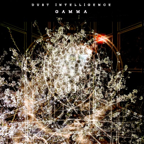 Dust Intelligence GAMMA