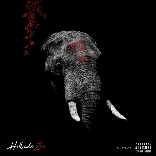 Hillside Zoo