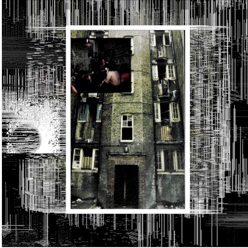 Broken Window Theory