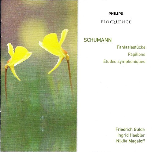 Fantasiestücke / Papillons / Études Symphoniques