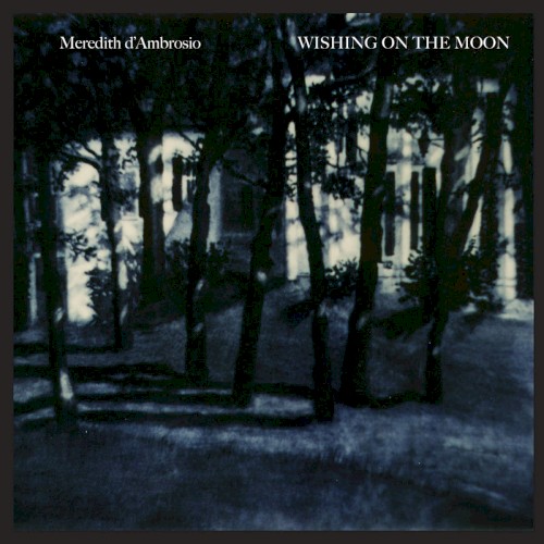 Wishing on the Moon