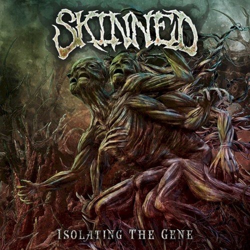 Isolating The Gene