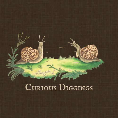 Curious Diggings