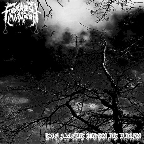 The Silent Moon at Dawn