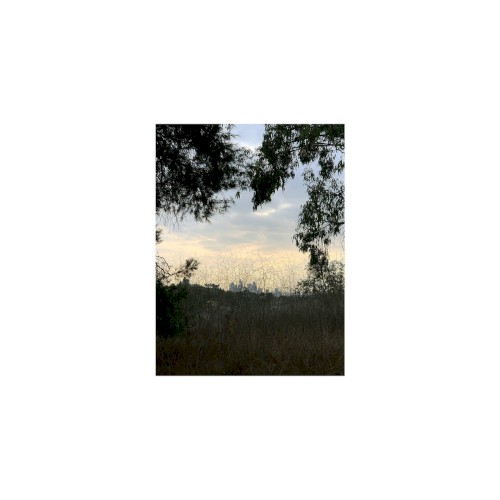 Arroyo