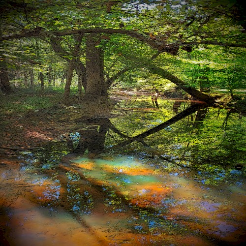 Music for Long Attention Spans, Vol. 25