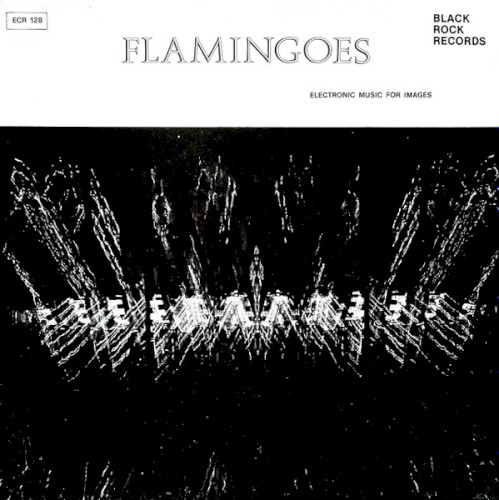 Flamingoes