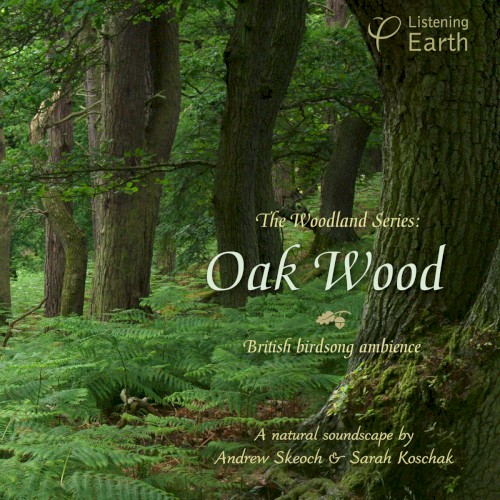 European Woodland Series: Oak Wood