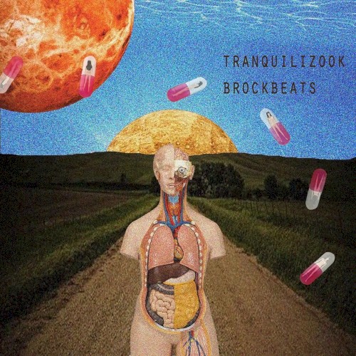 Tranquilizook