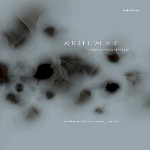 After the Wildfire