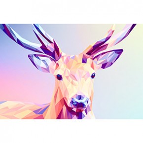 For Creators