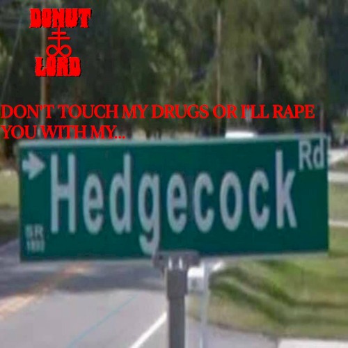 Don't Touch My Drugs or I'll Rape You With My Hedgecock