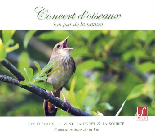 Concert d'oiseaux