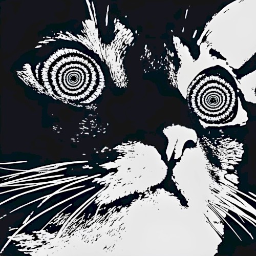 Void, Vol. 2