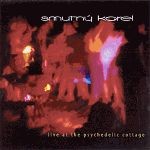 Live at the Psychedelic Cottage