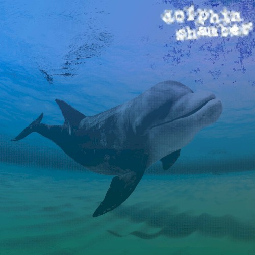 Dolphin Chamber