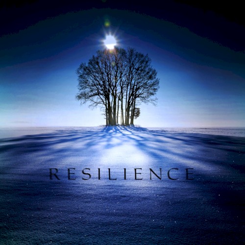 Resilience