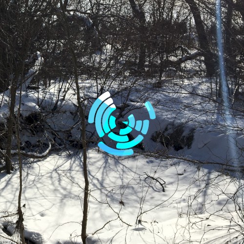 OST
